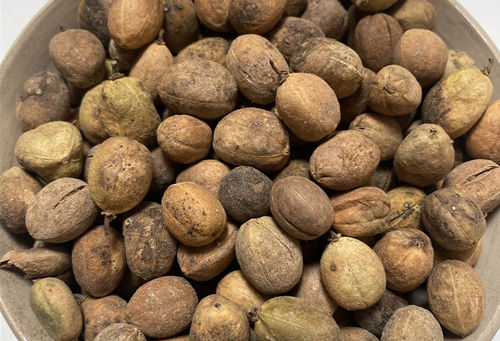 6205345905_d59a564256-160x160