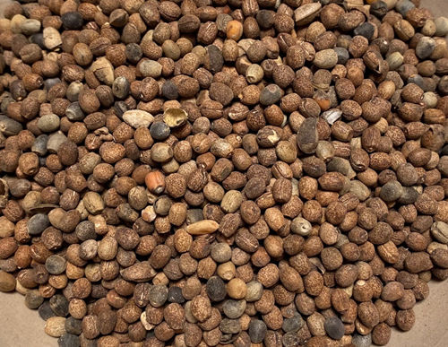 6205345905_d59a564256-160x160