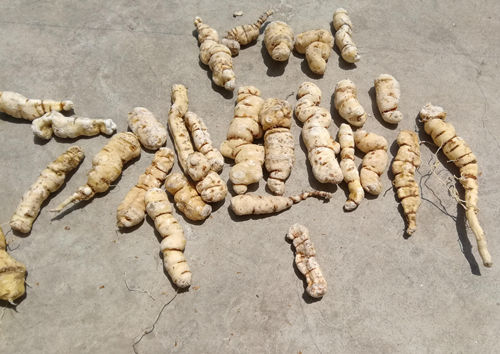 6205345905_d59a564256-160x160