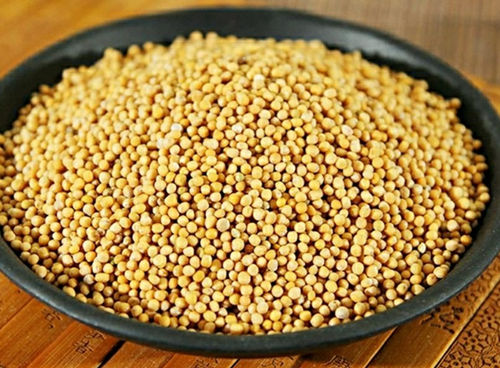 6205345905_d59a564256-160x160