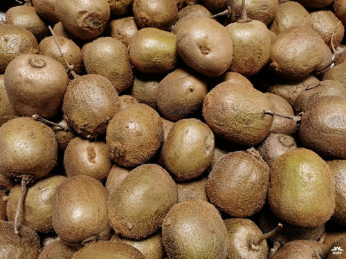 6205345905_d59a564256-160x160