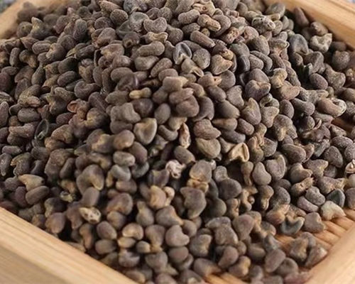 6205345905_d59a564256-160x160