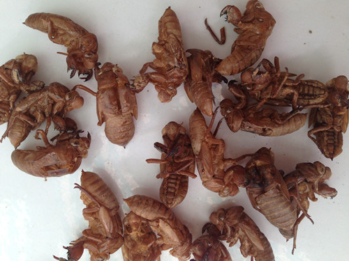 6205345905_d59a564256-160x160