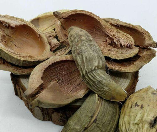 6205345905_d59a564256-160x160