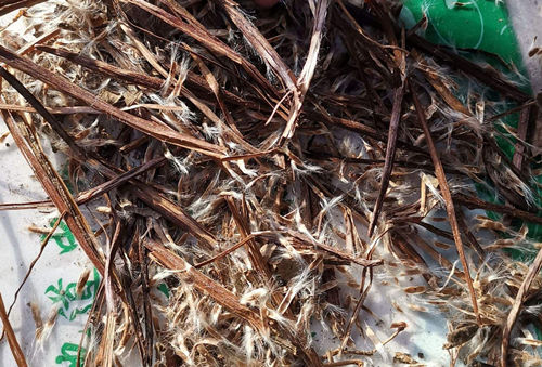 6205345905_d59a564256-160x160