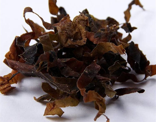 6205345905_d59a564256-160x160