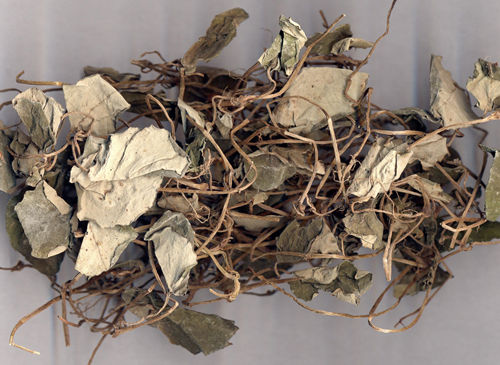 6205345905_d59a564256-160x160