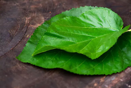 6205345905_d59a564256-160x160