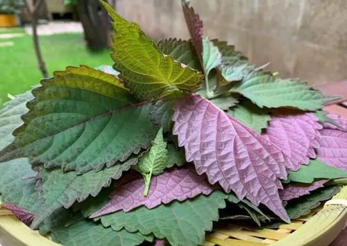 6205345905_d59a564256-160x160