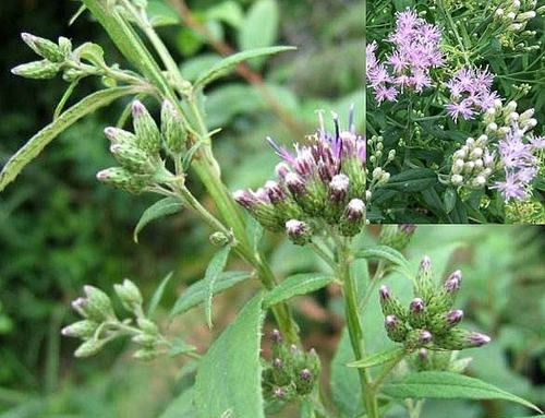 6205345905_d59a564256-160x160