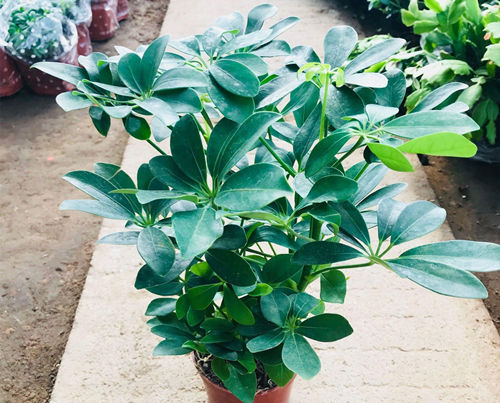 6205345905_d59a564256-160x160