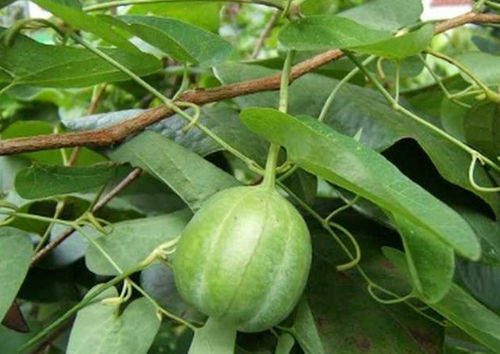 6205345905_d59a564256-160x160