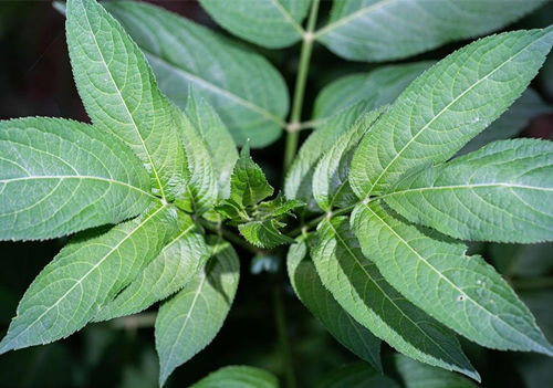 6205345905_d59a564256-160x160