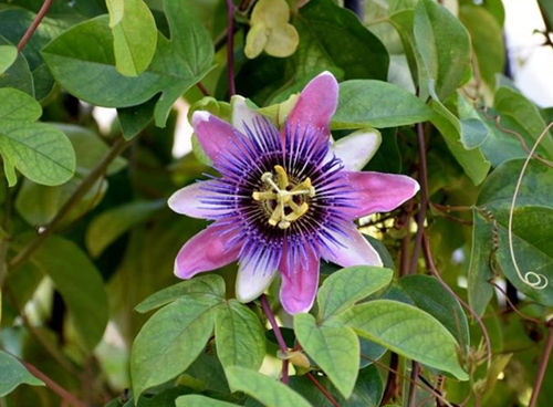 6205345905_d59a564256-160x160