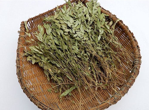 6205345905_d59a564256-160x160