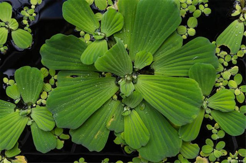 6205345905_d59a564256-160x160