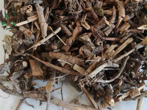 6205345905_d59a564256-160x160