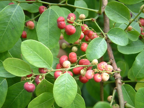 6205345905_d59a564256-160x160