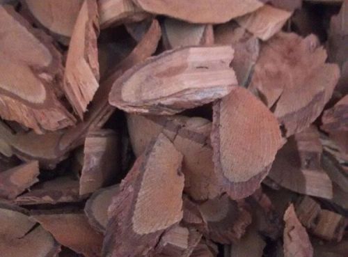 6205345905_d59a564256-160x160