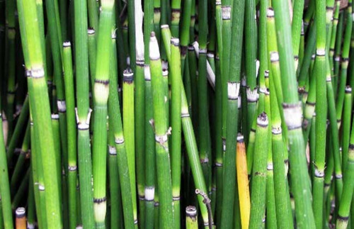 6205345905_d59a564256-160x160