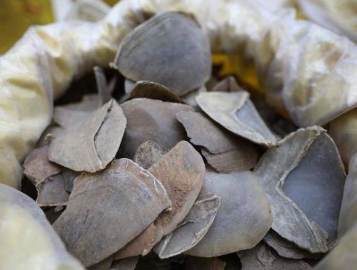 6205345905_d59a564256-160x160