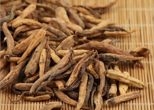 6205345905_d59a564256-160x160