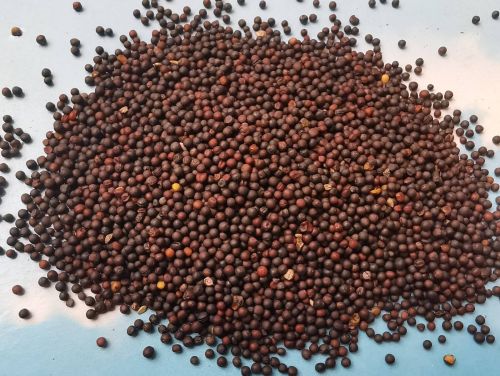 6205345905_d59a564256-160x160