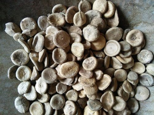 6205345905_d59a564256-160x160