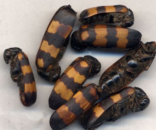 6205345905_d59a564256-160x160