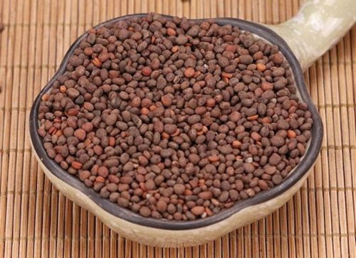 6205345905_d59a564256-160x160