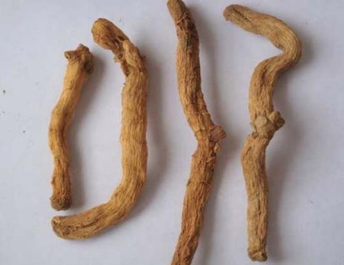 6205345905_d59a564256-160x160