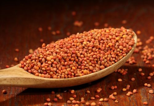 6205345905_d59a564256-160x160