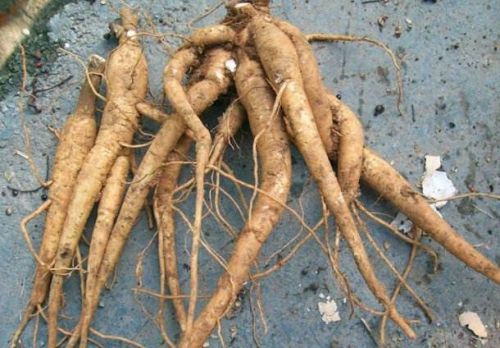 6205345905_d59a564256-160x160