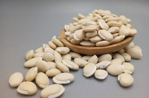 6205345905_d59a564256-160x160