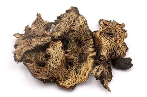 6205345905_d59a564256-160x160