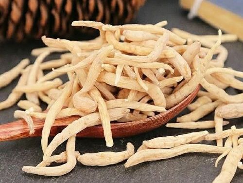 6205345905_d59a564256-160x160