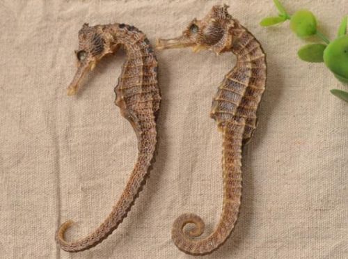 6205345905_d59a564256-160x160