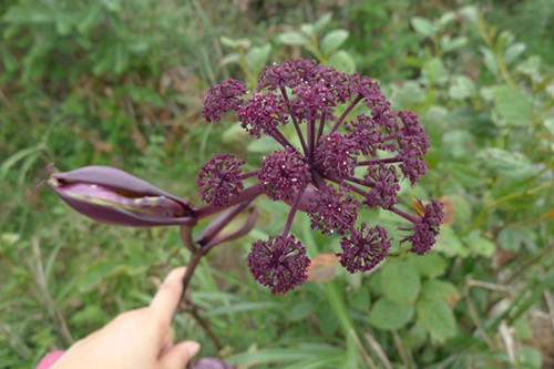 6205345905_d59a564256-160x160