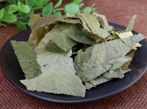 6205345905_d59a564256-160x160