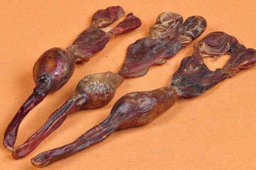 6205345905_d59a564256-160x160