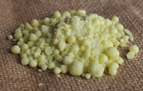 6205345905_d59a564256-160x160