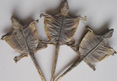 6205345905_d59a564256-160x160