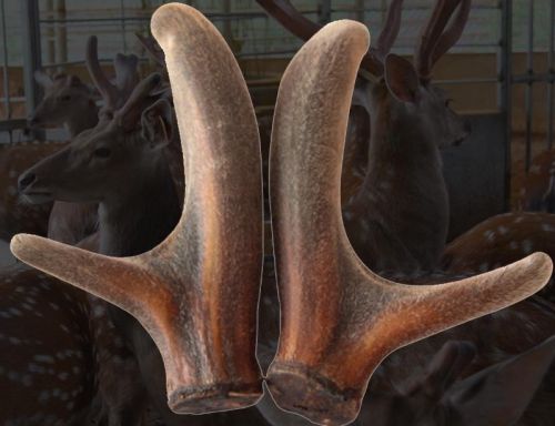 6205345905_d59a564256-160x160