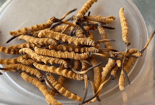 6205345905_d59a564256-160x160