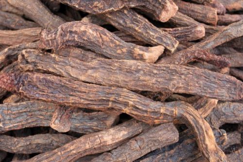 6205345905_d59a564256-160x160