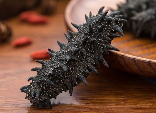 6205345905_d59a564256-160x160