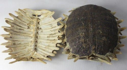 6205345905_d59a564256-160x160