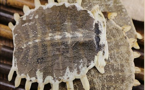 6205345905_d59a564256-160x160