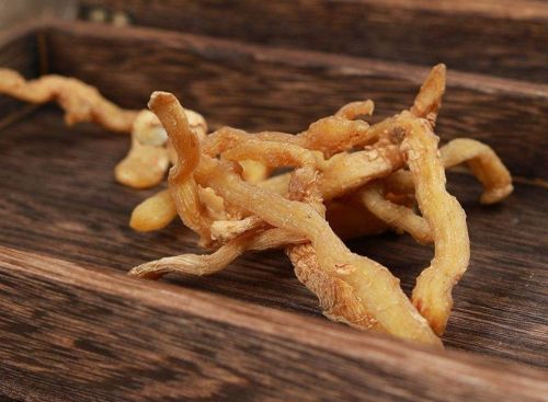 6205345905_d59a564256-160x160