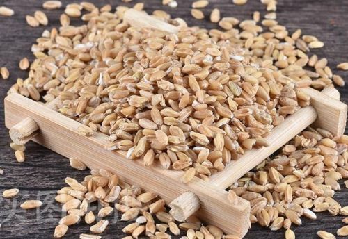 6205345905_d59a564256-160x160